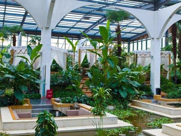 生態餐廳