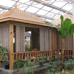 生態餐廳